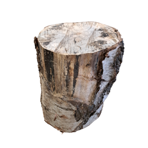 Tabouret Bas bois