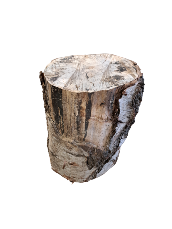 Tabouret Bas bois